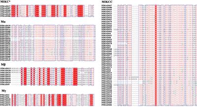Genome-wide characterization and expression analysis of MADS-box transcription factor gene family in Perilla frutescens